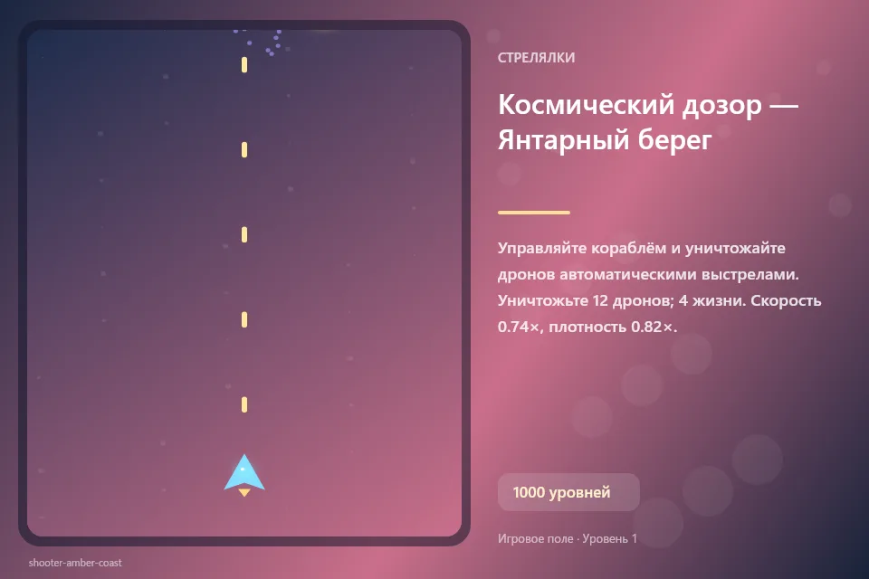 Космический дозор — Янтарный берег